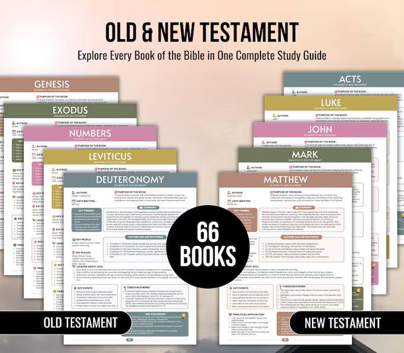 NIV Bible Study Guide: All 66 Books Explained